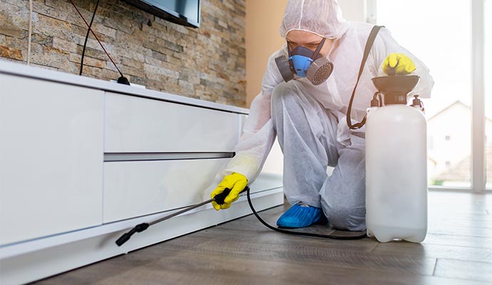 Professional floor sanitation service