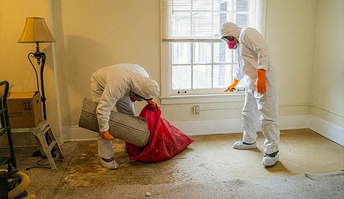 Professional trauma scene cleanup service