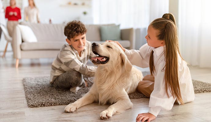 Siblings petting a dog on a rug in a home living room Siblings sitting together on a rug in a warm living room, gently petting a resting dog