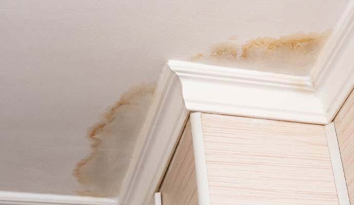 Brown water stains on ceiling drywall and crown molding from attic leak