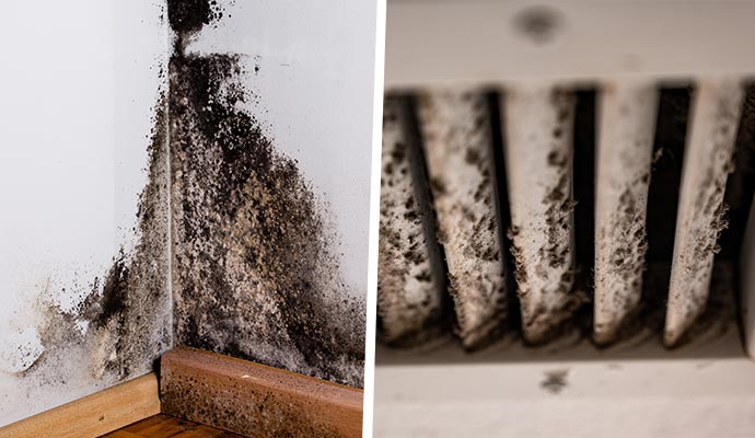 Collage of black mold visible on a wall corner and inside an HVAC duct system