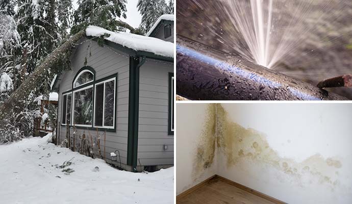 Collage of snow and ice damaged house, burst pipe and mold growth on wall