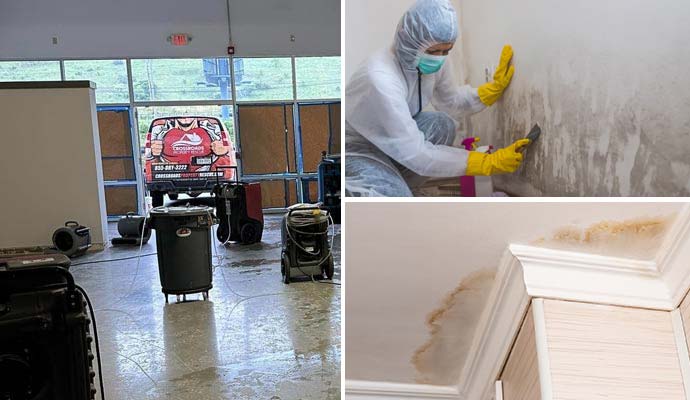 Collage of water extraction service, mold remediation and water damaged ceiling