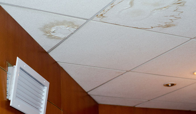  Ceiling mold in retail store