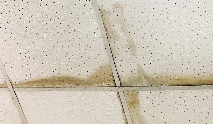 Water damage and stains on ceiling tiles