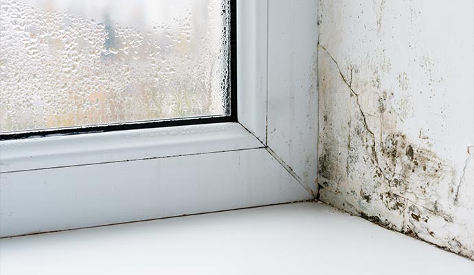 Window condensation and wall mold damage