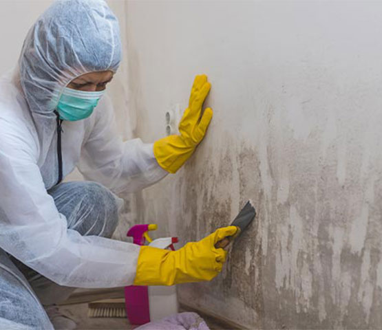 Professional worker removing mold from the wall