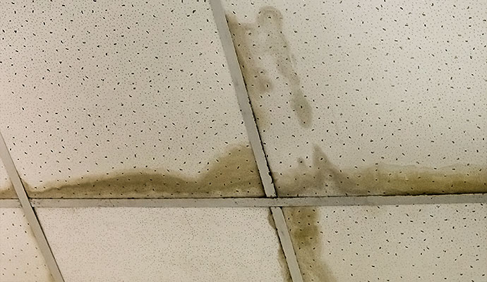 Roof leak damage