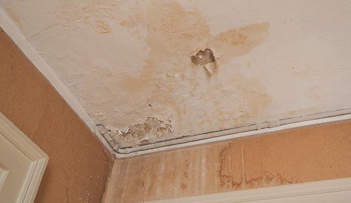 Ceiling showing damp patches, discoloration, and peeling paint caused by a roof leak