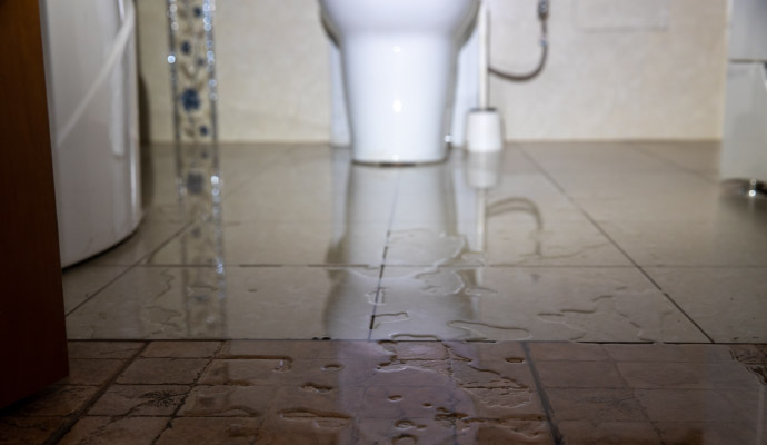 Sewage removal