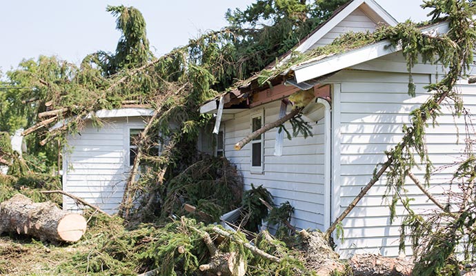 Storm damage with fallen trees on a house