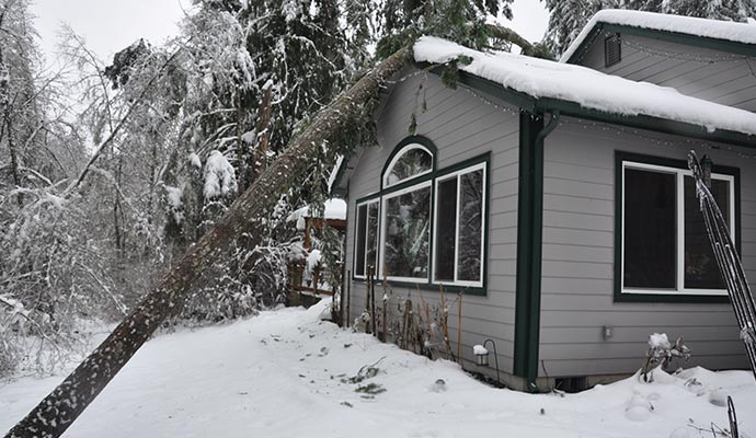 Tree fell on heavy ice damaged roof