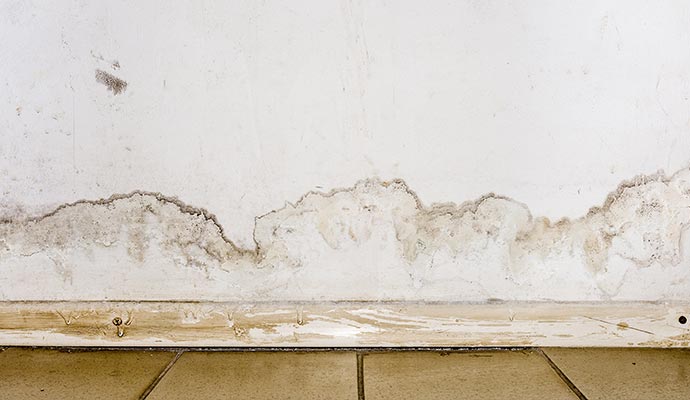 Visible mold on wall due to water damage