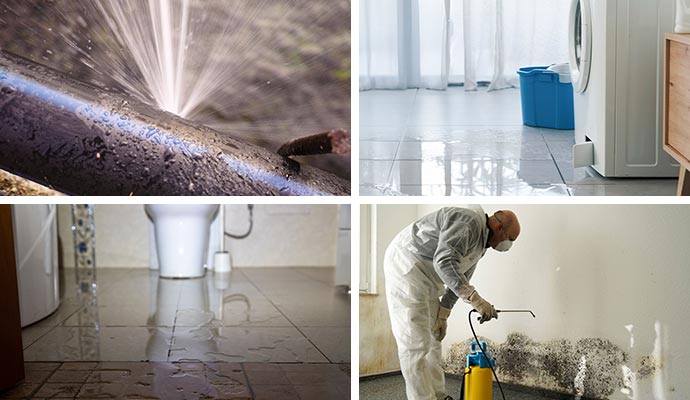 Sources of water damage and professional mold remediation Collage of water damage from pipe, appliance, sewage leaks and mold remediation.