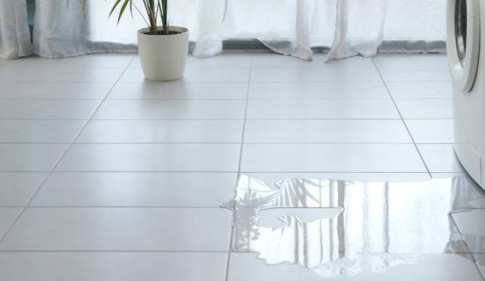 Water pooling on the floor from a leaking washing machine