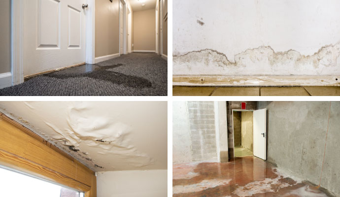 Collage of different water damaged area