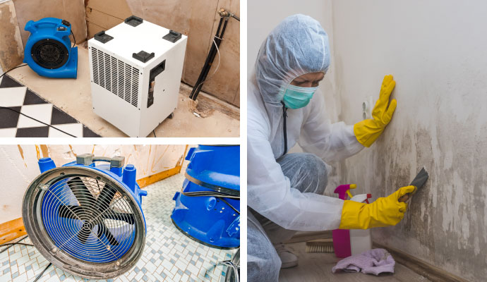 Collage of water extraction, structural drying and mold remediation service