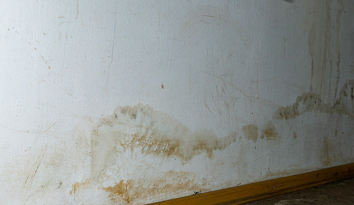 Visible water stains and moisture discoloration along the bottom of a white wall