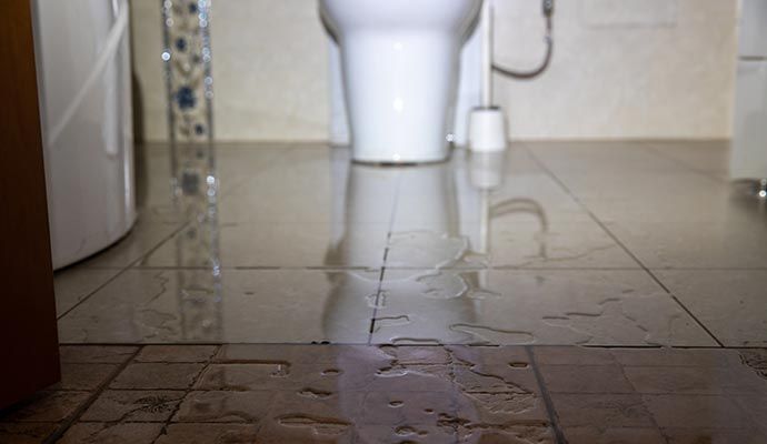 Water damaged toilet floor