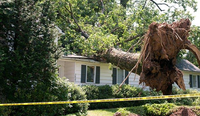 Wind damaged house